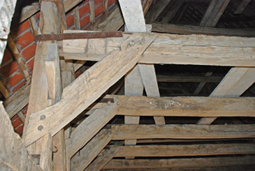 Odense adelige Jomfrukloster, kælder